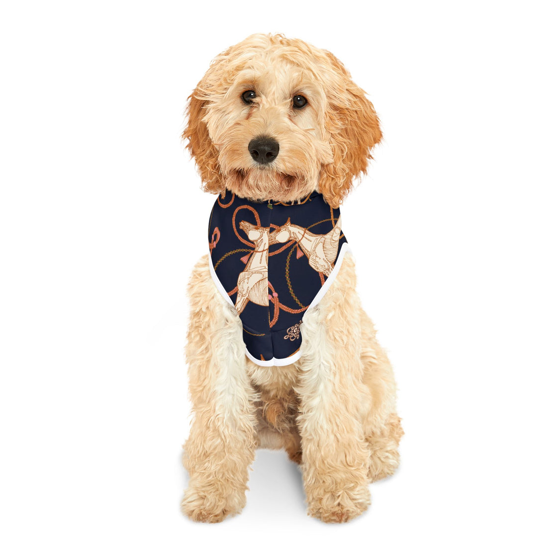 Espoir roped Horse Pet Hoodie with Stylish Print