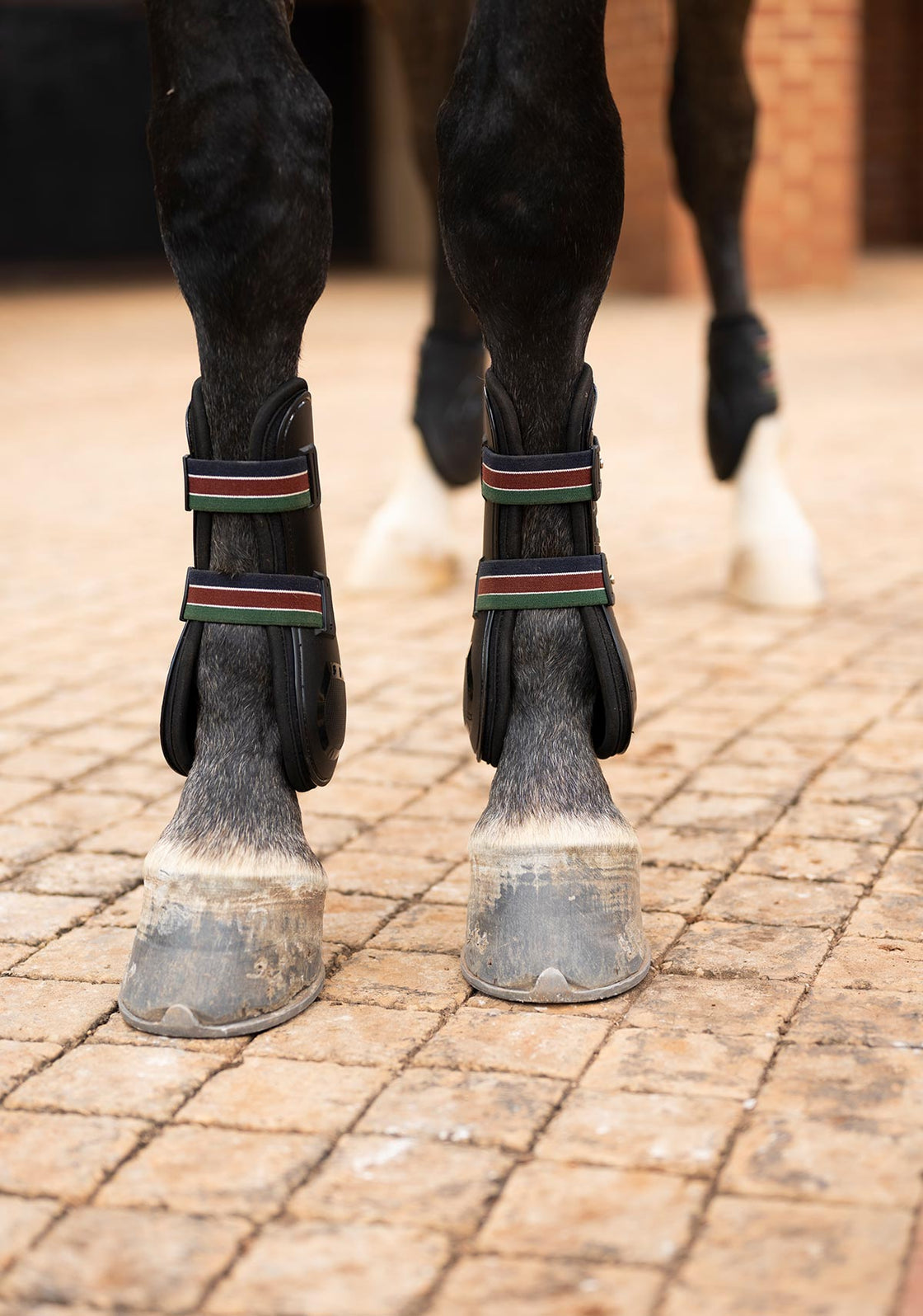 Espoir Front Tendon Boots NEW LOWER PRICE!!!