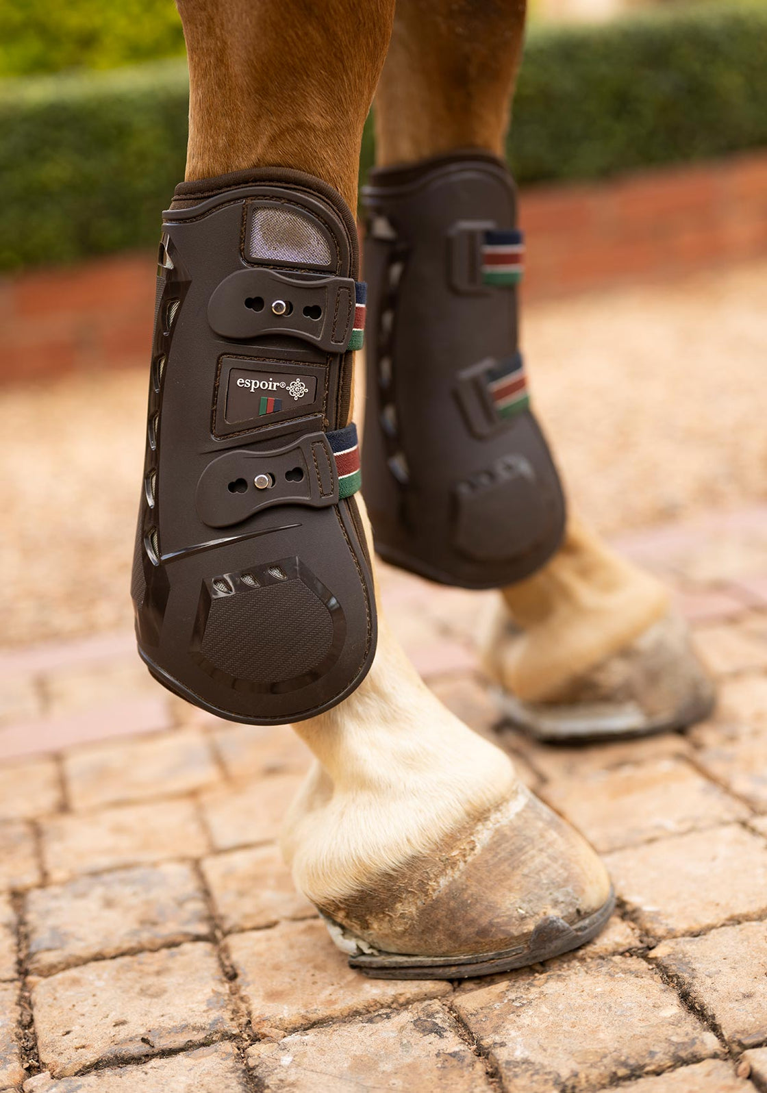 Espoir Front Tendon Boots NEW LOWER PRICE!!!
