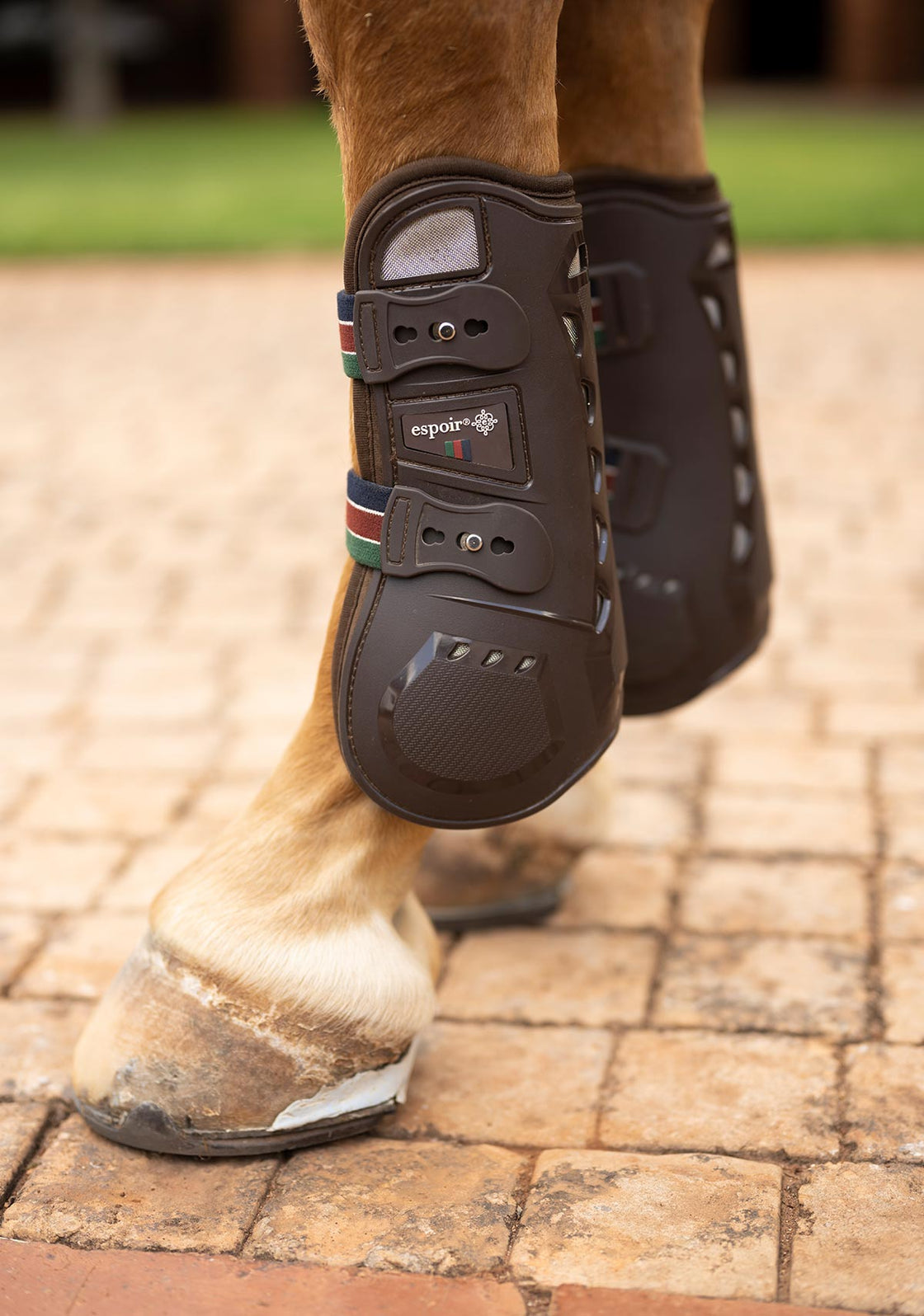 Espoir Front Tendon Boots NEW LOWER PRICE!!!