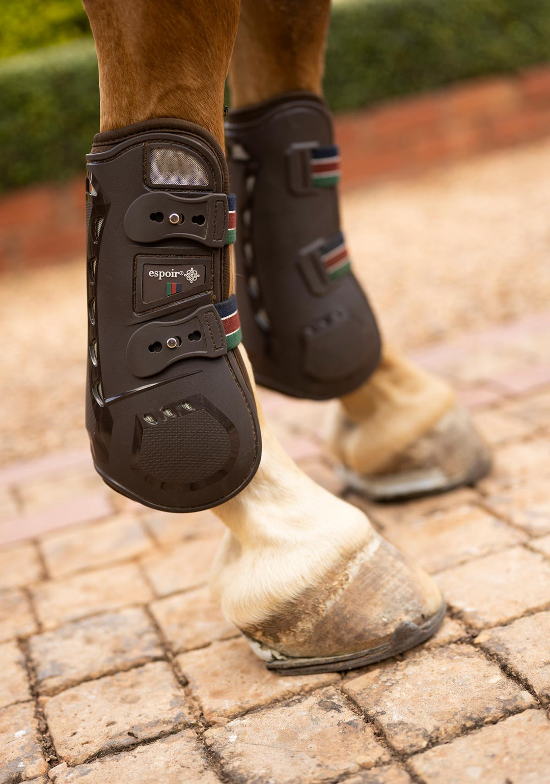 Espoir Front Tendon Boots NEW LOWER PRICE!!!